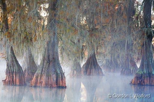 Misty Lake Martin At Sunrise_25754.jpg - Photographed at the Cypress Island Preserve near Breaux Bridge, Louisiana, USA.